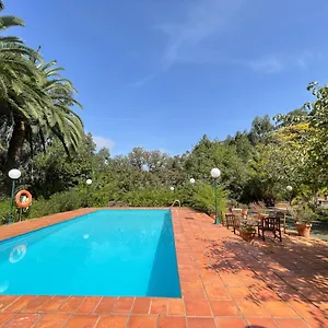 En Medio Del Bosque, El Lance Vakantiehuis Firgas